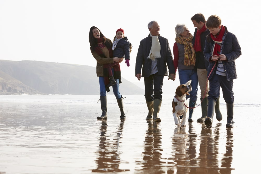grandparents visitation rights lawyer Chicago, IL