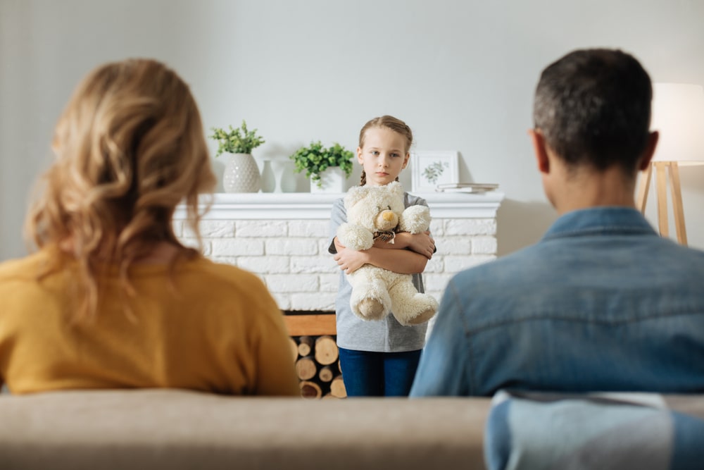 Child Custody Lawyer