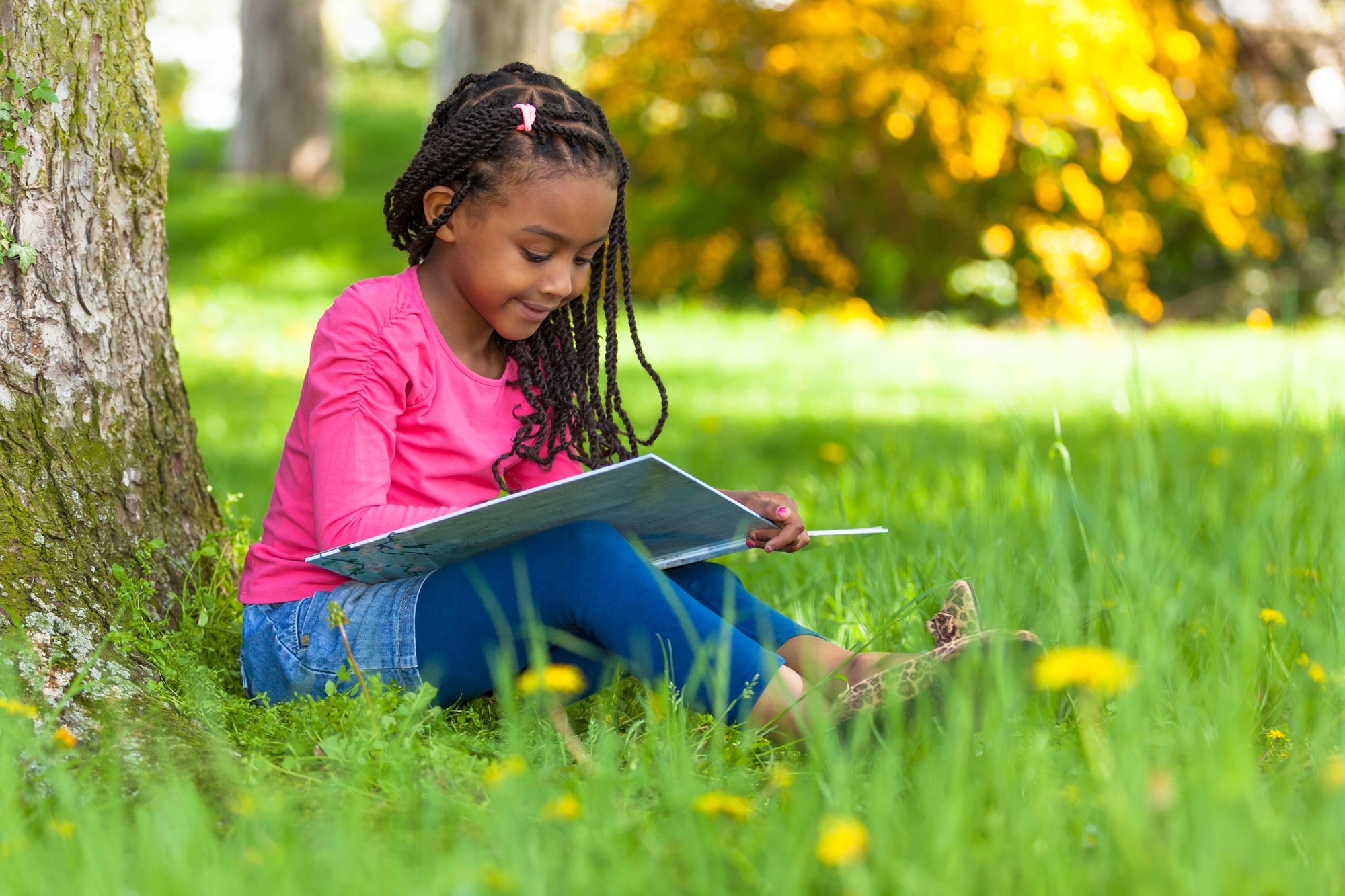 child custody lawyer Wilmette, IL